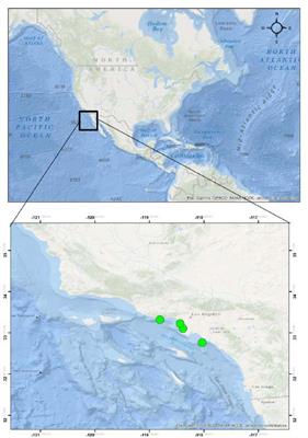 Phylogeny and Pathology of Anisakids Parasitizing Stranded California Sea Lions (Zalophus californianus) in Southern California